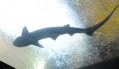 Foto de la galería: Parque Temaikén en Escobar provincia de Buenos Aires