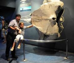 Foto de la galería: Parque Temaikén en Escobar provincia de Buenos Aires