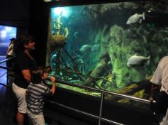 Foto de la galería: Parque Temaikén en Escobar provincia de Buenos Aires