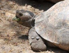 Foto de la galería: Parque Temaikén en Escobar provincia de Buenos Aires