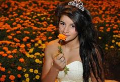 Foto de la galería: Los 15 de Camy Dávalos