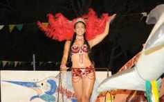 Foto de la galería: Desfile de comparsas en el barrio Miguel Lanús