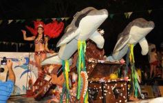 Foto de la galería: Desfile de comparsas en el barrio Miguel Lanús