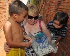 Foto de la galería: Paseos y Trabajos