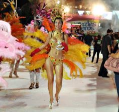 Foto de la galería: Última noche de los Carnavales Misioneros 2013