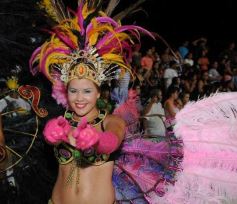Foto de la galería: Última noche de los Carnavales Misioneros 2013