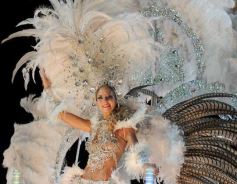 Foto de la galería: Última noche de los Carnavales Misioneros 2013