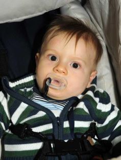 Foto de la galería: Paseos y trabajos en Posadas e Ituzaingó