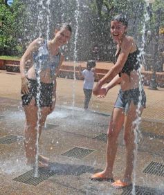 Foto de la galería: Paseos y trabajos en Posadas