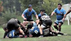 Foto de la galería: Capri 18-Aranduroga 29