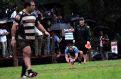 Foto de la galería: Capri 18-Aranduroga 29