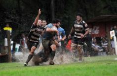 Foto de la galería: Capri 18-Aranduroga 29