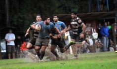 Foto de la galería: Capri 18-Aranduroga 29