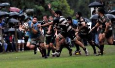 Foto de la galería: Capri 18-Aranduroga 29