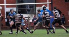 Foto de la galería: Capri 18-Aranduroga 29