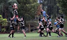 Foto de la galería: Capri 18-Aranduroga 29