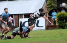 Foto de la galería: Capri 18-Aranduroga 29