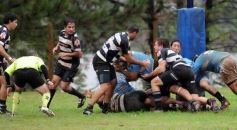 Foto de la galería: Capri 18-Aranduroga 29