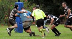 Foto de la galería: Capri 18-Aranduroga 29