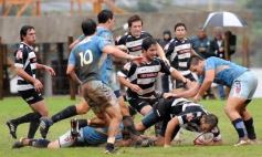 Foto de la galería: Capri 18-Aranduroga 29