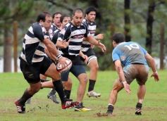 Foto de la galería: Capri 18-Aranduroga 29