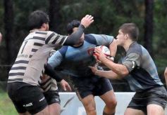 Foto de la galería: Capri 18-Aranduroga 29