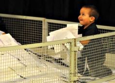 Foto de la galería: Sorteos para los constribuyentes-2013