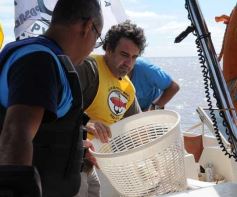 Foto de la galería: 42º edición del Club Pirá Pytá