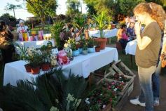 Foto de la galería: Feria y festival en plaza del barrio Los Lapachos