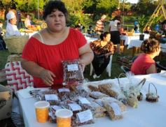 Foto de la galería: Feria y festival en plaza del barrio Los Lapachos