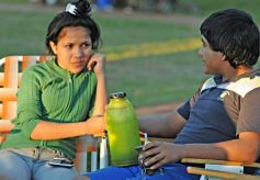 Foto de la galería: Feria y festival en plaza del barrio Los Lapachos
