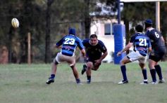 Foto de la galería: Capri 31-Aguará 15