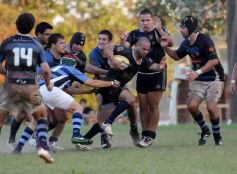 Foto de la galería: Capri 31-Aguará 15