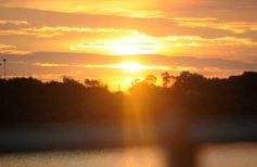 Foto de la galería: Paseos y trabajos