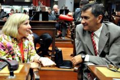 Foto de la galería: Elección de diputados titulares y suplentes e inicio de la primera sesión ordinaria del año