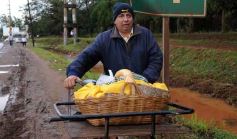 Foto de la galería: 51ª Procesión a Fátima