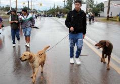 Foto de la galería: 51ª Procesión a Fátima