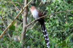 Foto de la galería: Parque Tematico Cruz de Santa Ana