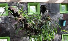 Foto de la galería: Parque Tematico Cruz de Santa Ana