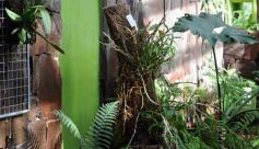 Foto de la galería: Parque Tematico Cruz de Santa Ana