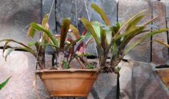 Foto de la galería: Parque Tematico Cruz de Santa Ana