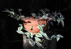 Foto de la galería: Parque Tematico Cruz de Santa Ana