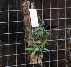 Foto de la galería: Parque Tematico Cruz de Santa Ana