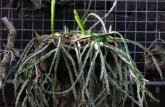 Foto de la galería: Parque Tematico Cruz de Santa Ana