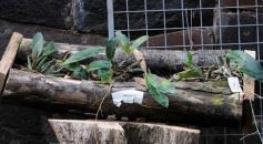 Foto de la galería: Parque Tematico Cruz de Santa Ana