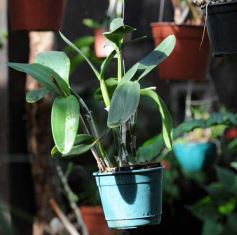 Foto de la galería: Parque Tematico Cruz de Santa Ana