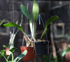 Foto de la galería: Parque Tematico Cruz de Santa Ana