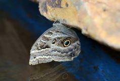 Foto de la galería: Parque Tematico Cruz de Santa Ana