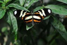 Foto de la galería: Parque Tematico Cruz de Santa Ana