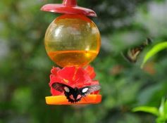 Foto de la galería: Parque Tematico Cruz de Santa Ana